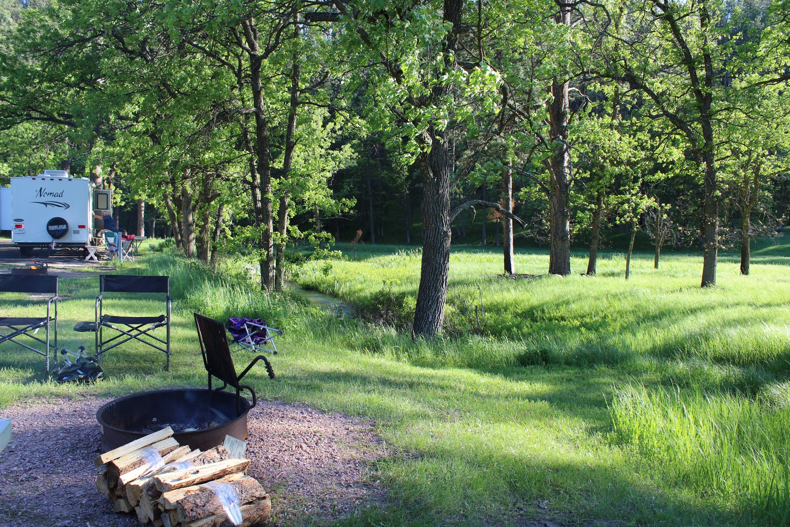 Custer State Park Grace Coolidge Campground
