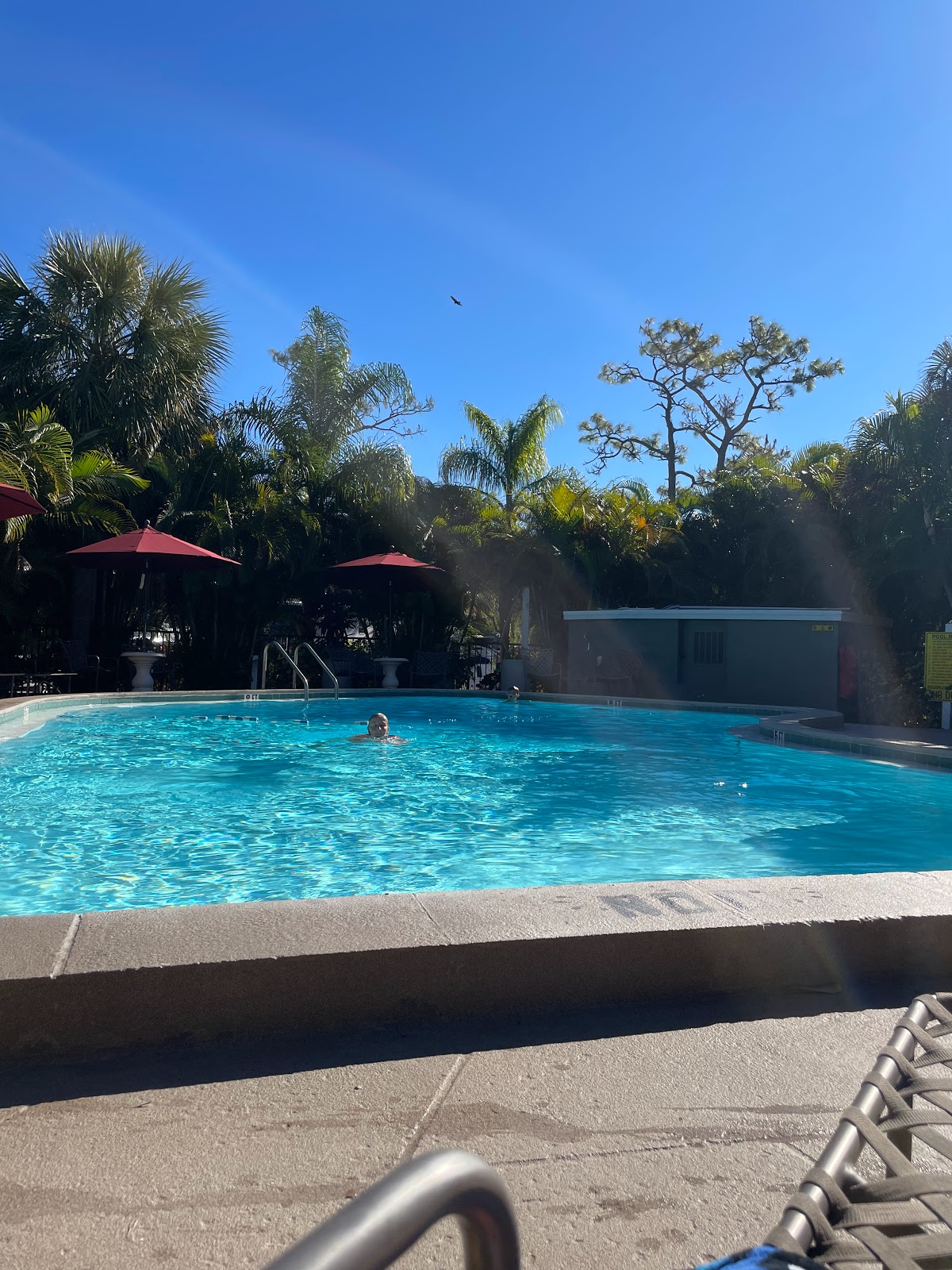 Clearwater - Lake Tarpon KOA Holiday