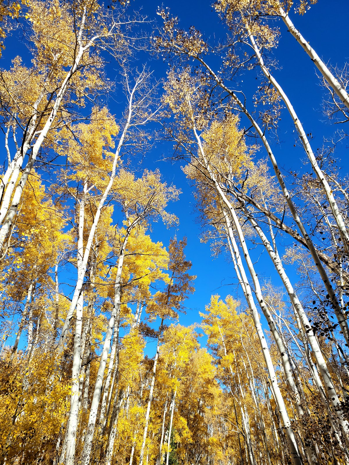 Freeman Reservoir Campground