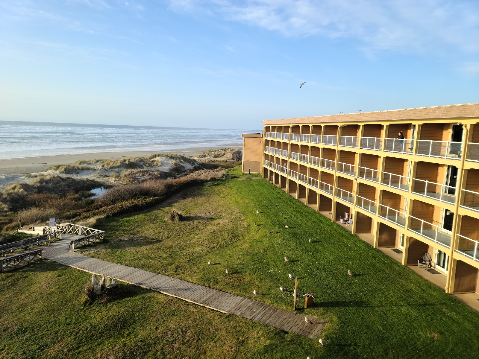 Driftwood Shores Resort & RV Park