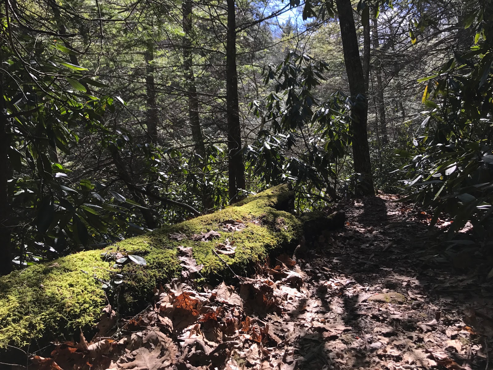 Comers Rock Recreation Area