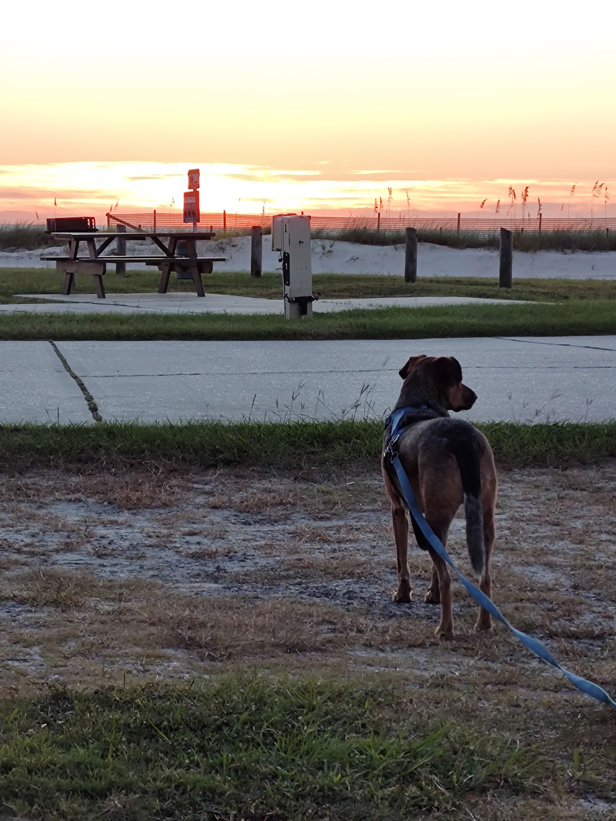 Silver Slipper Casino Beachfront RV Park