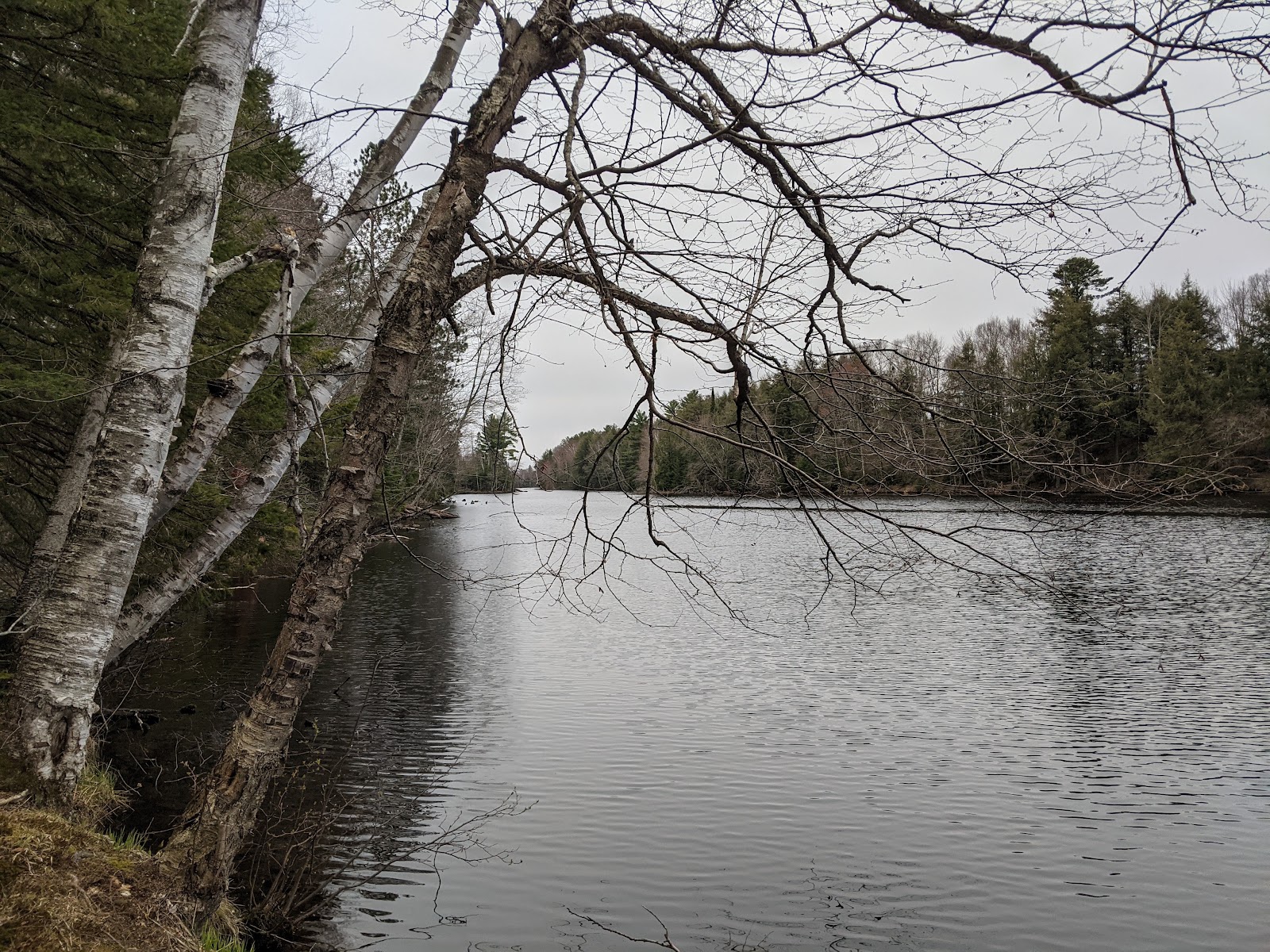 West Point NF Campground