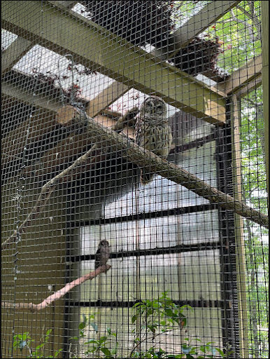 Oak Mountain State Park