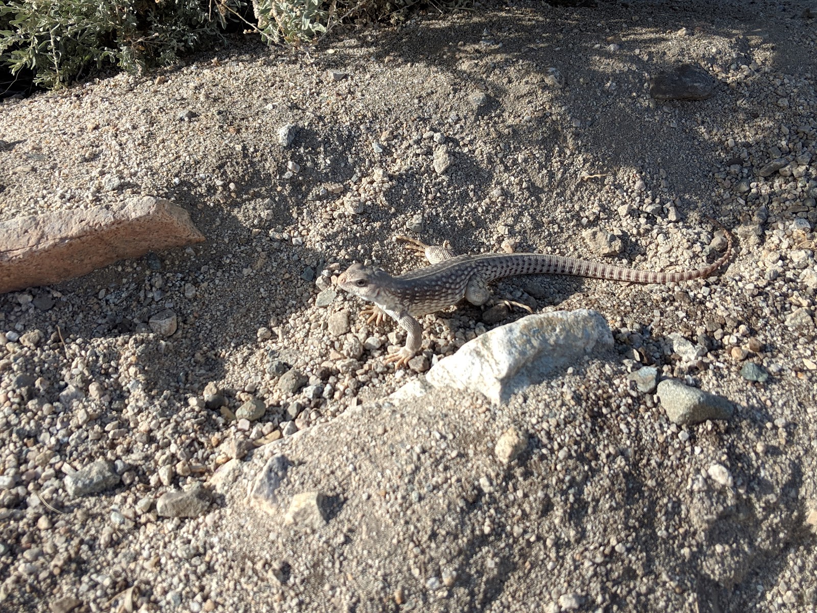 Corn Springs Campground