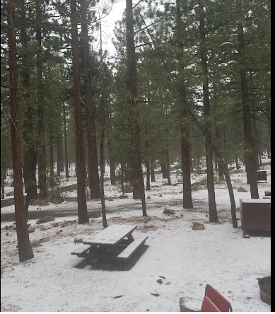 Old Shady Rest Campground