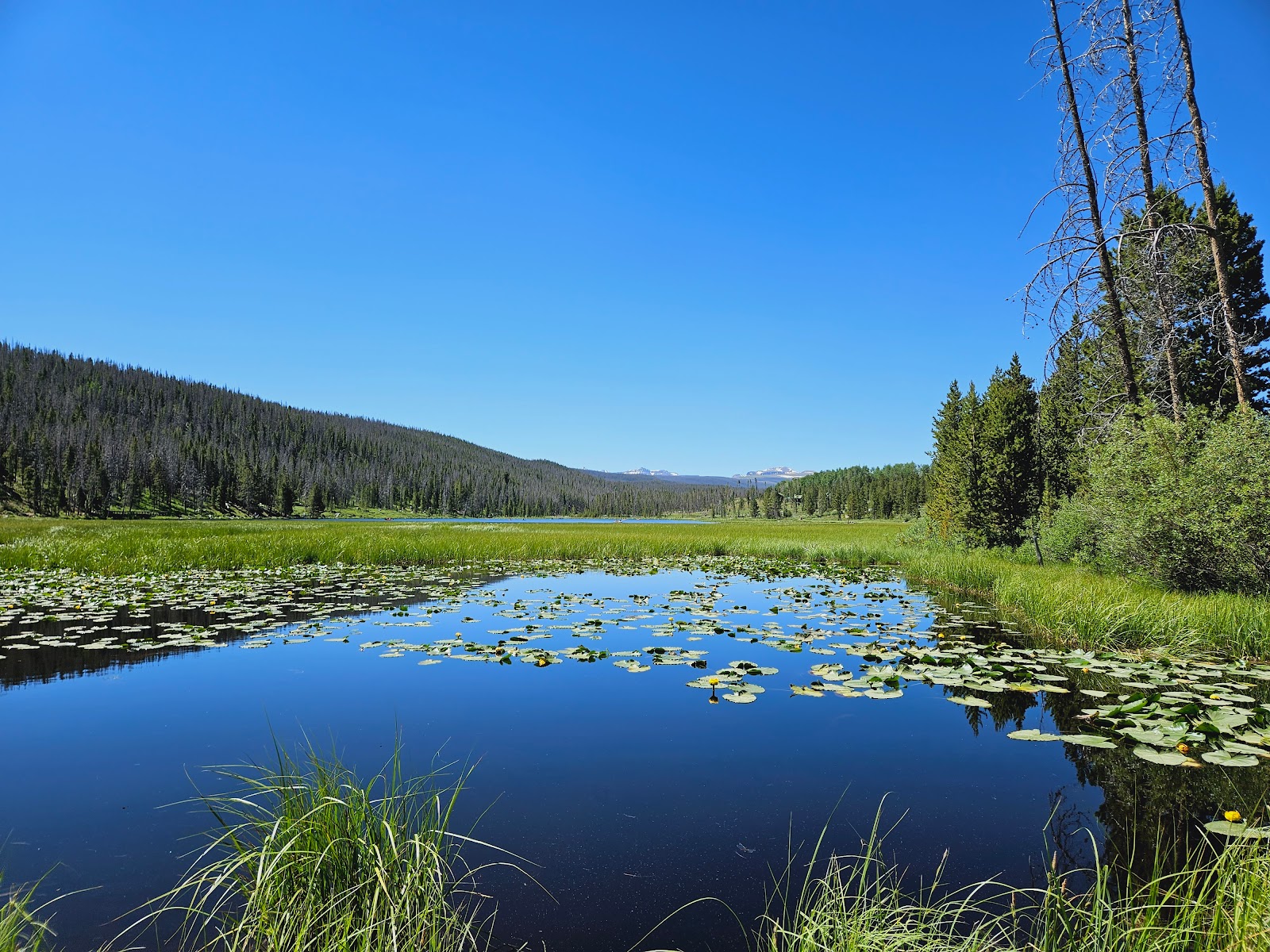 Bridger Lake Campground
