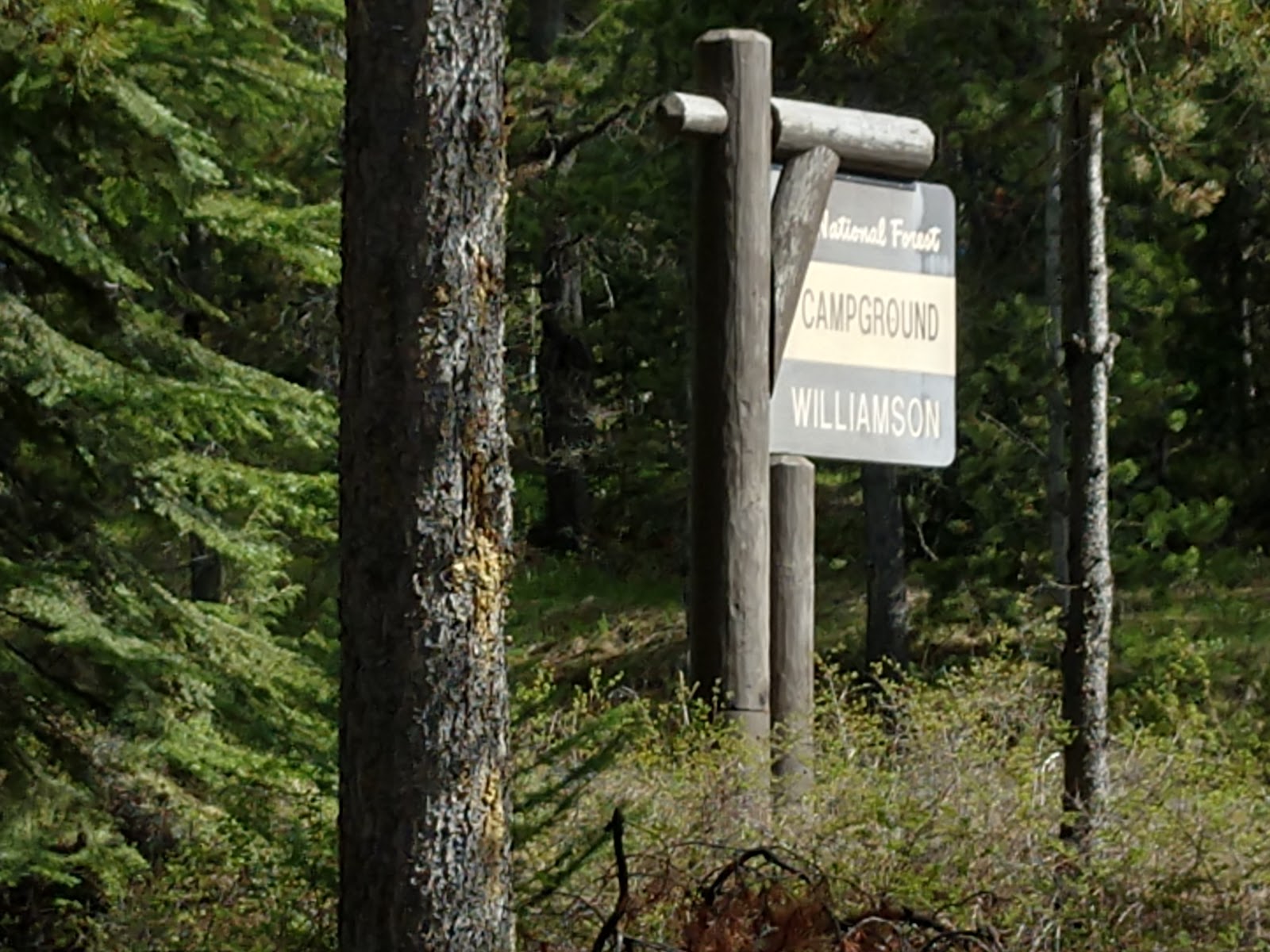 Williamson Campground