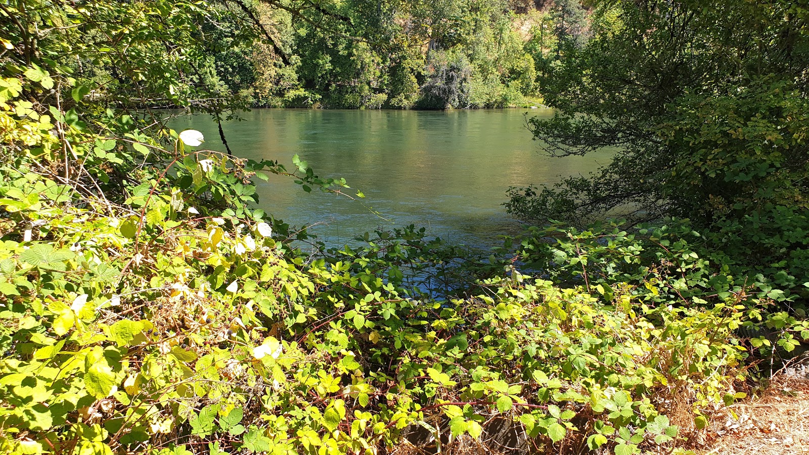 Shamrock Village MH Park