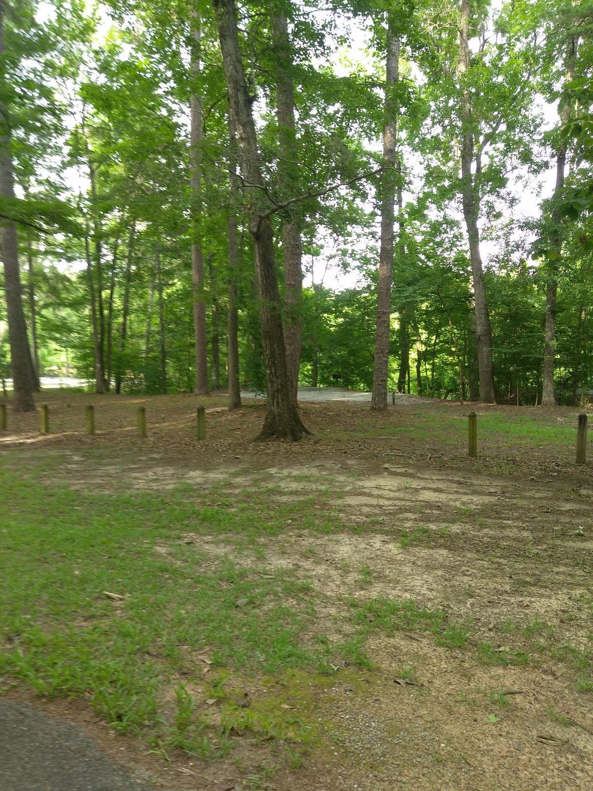 Faceville Landing Campground