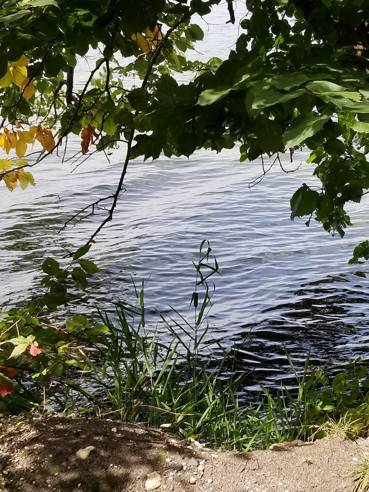 Pickerel Lake State Recreation Area