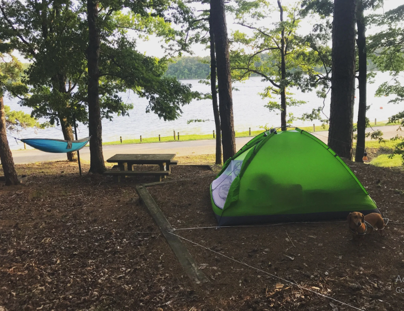 Self Creek Recreation Area & Campground