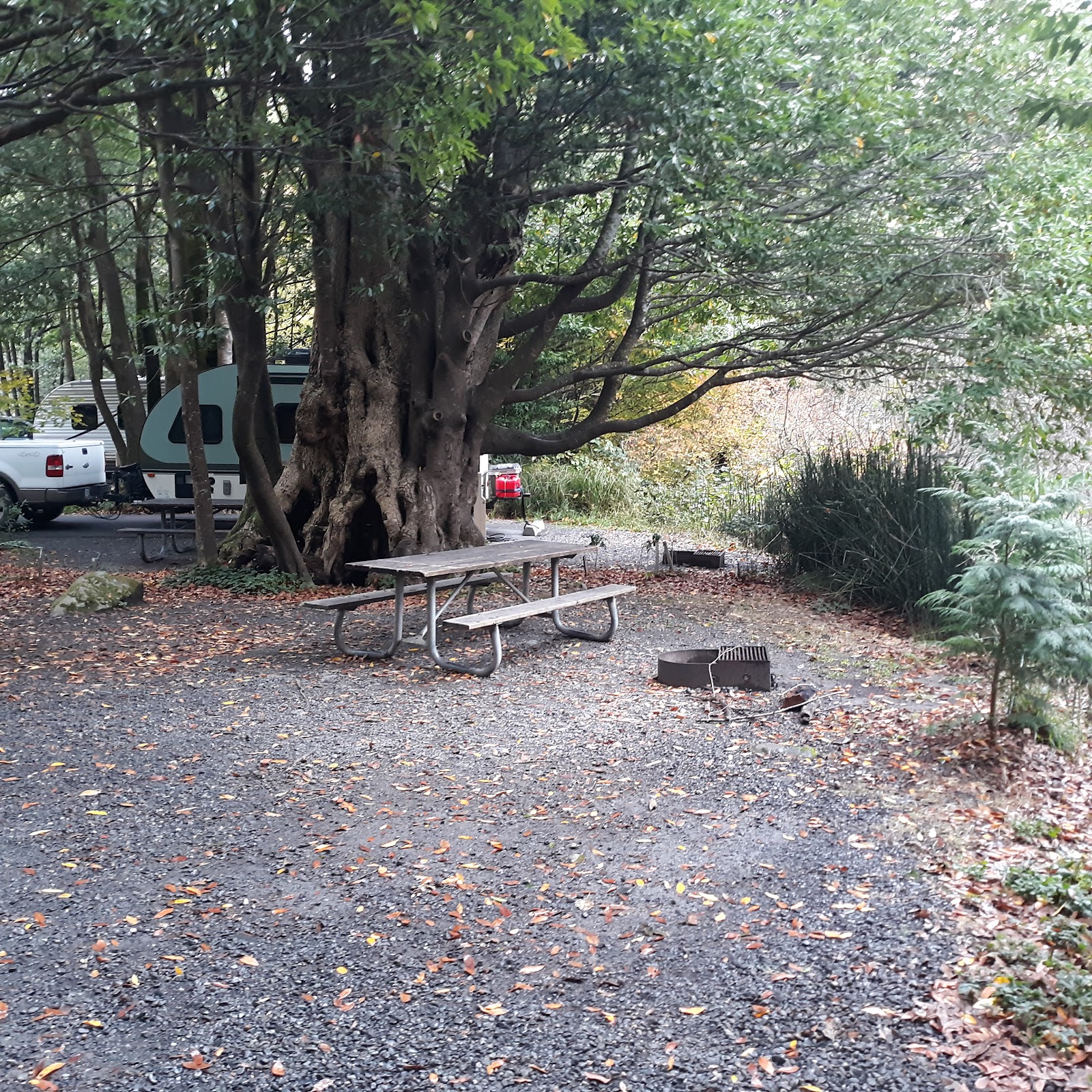 Alfred A. Loeb State Park