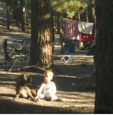 Pine Cliff RV Resort and General