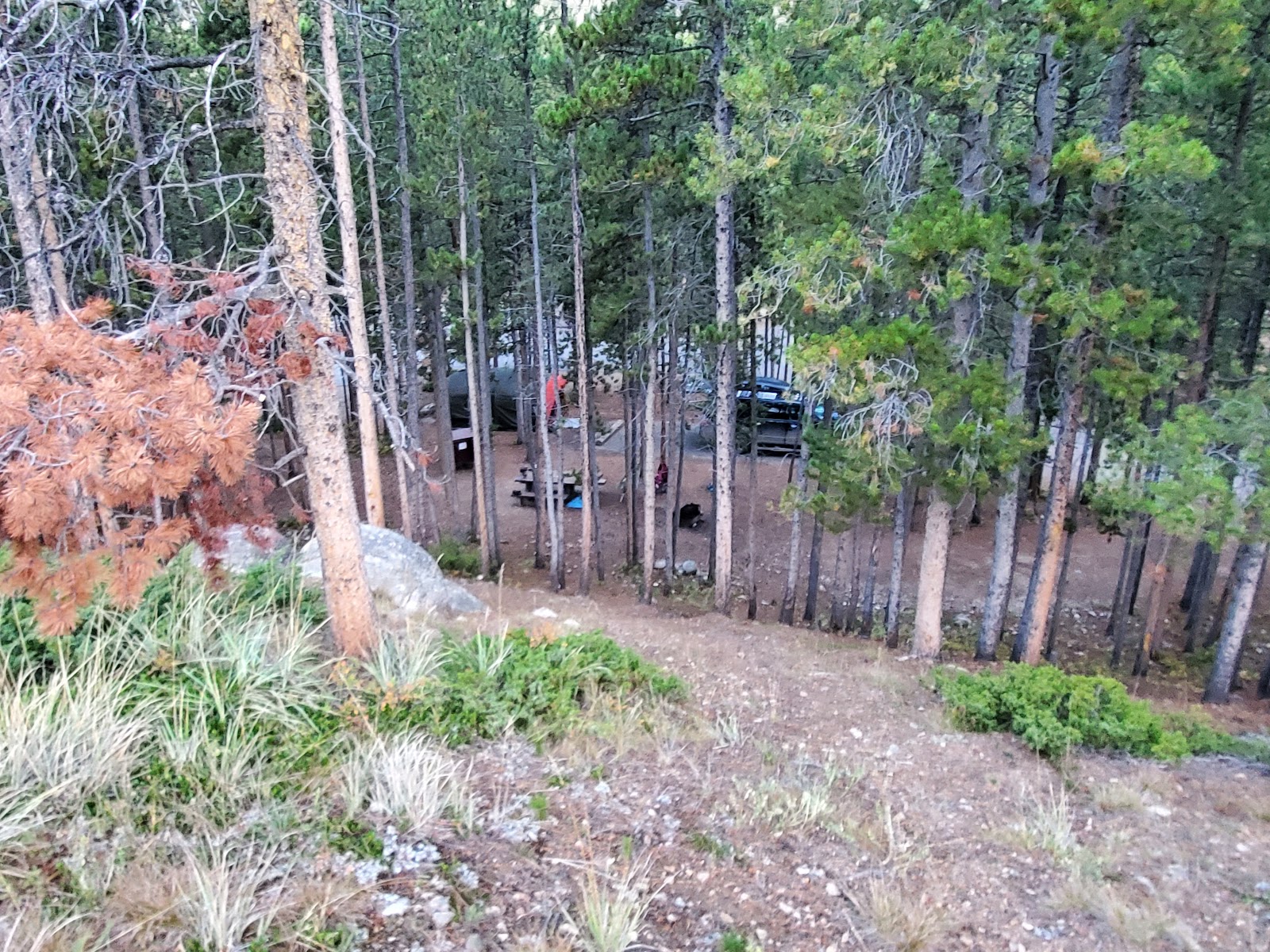Greenough Lake Campground