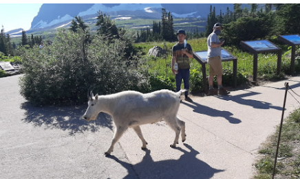 Glacier Pines RV Park