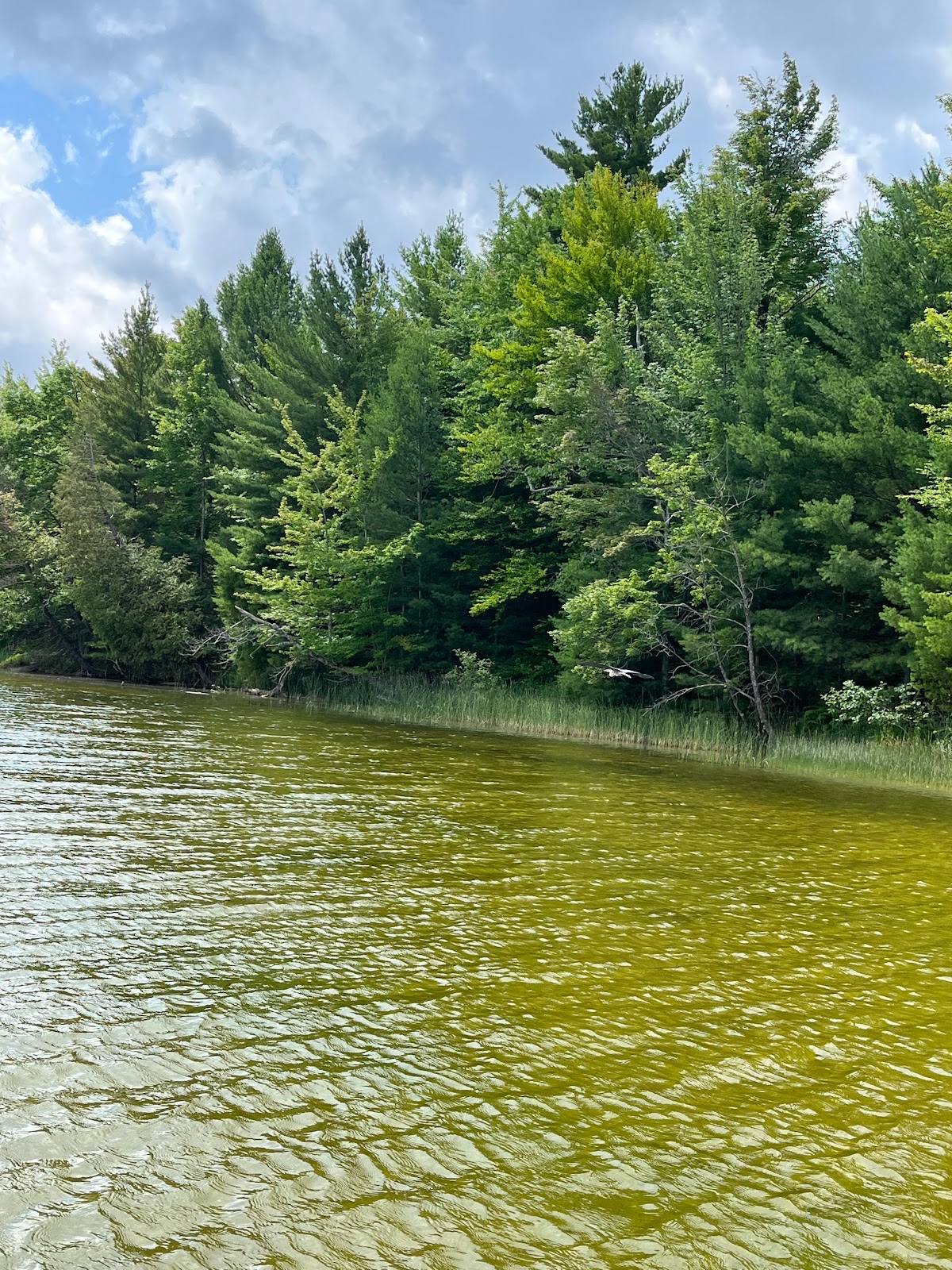 Pine Lake NF Campground