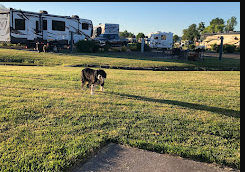 Eugene Premier RV Resorts