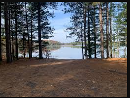 Musky Lake - Northern Highland-American Legion SF