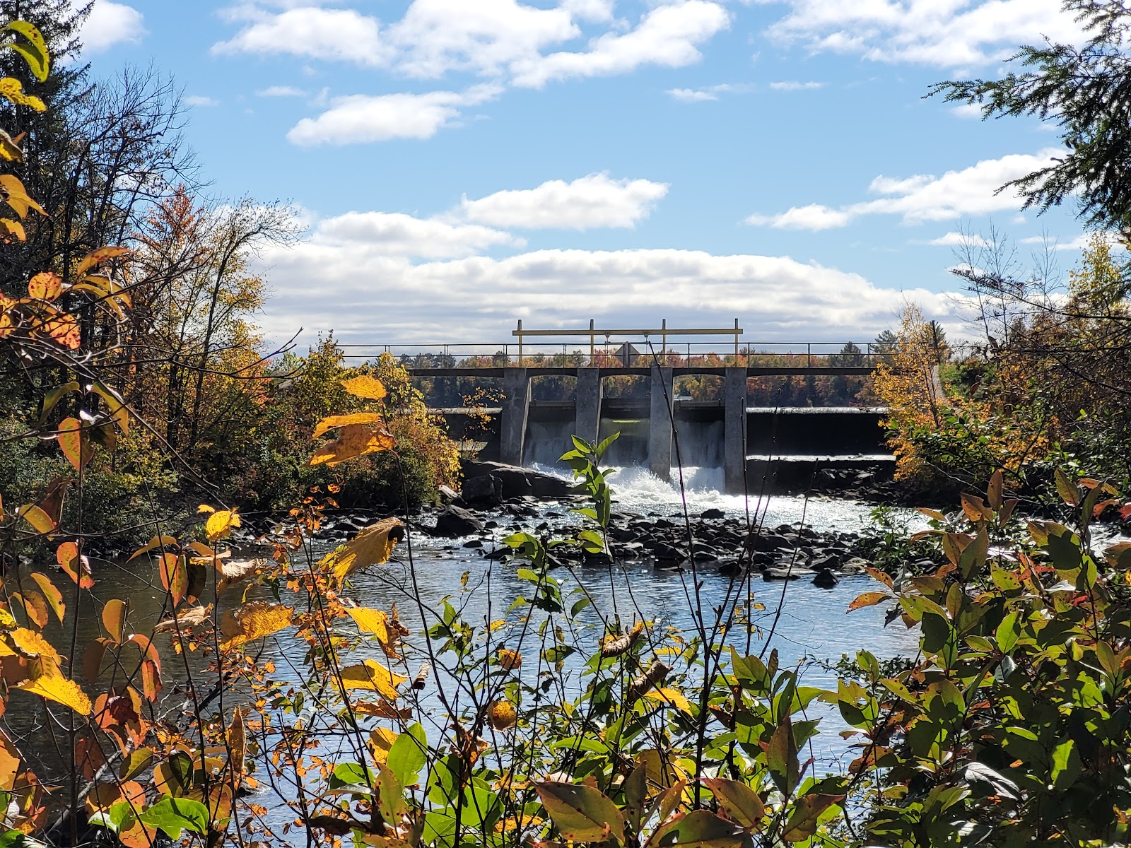 Chute Pond Park and Campground