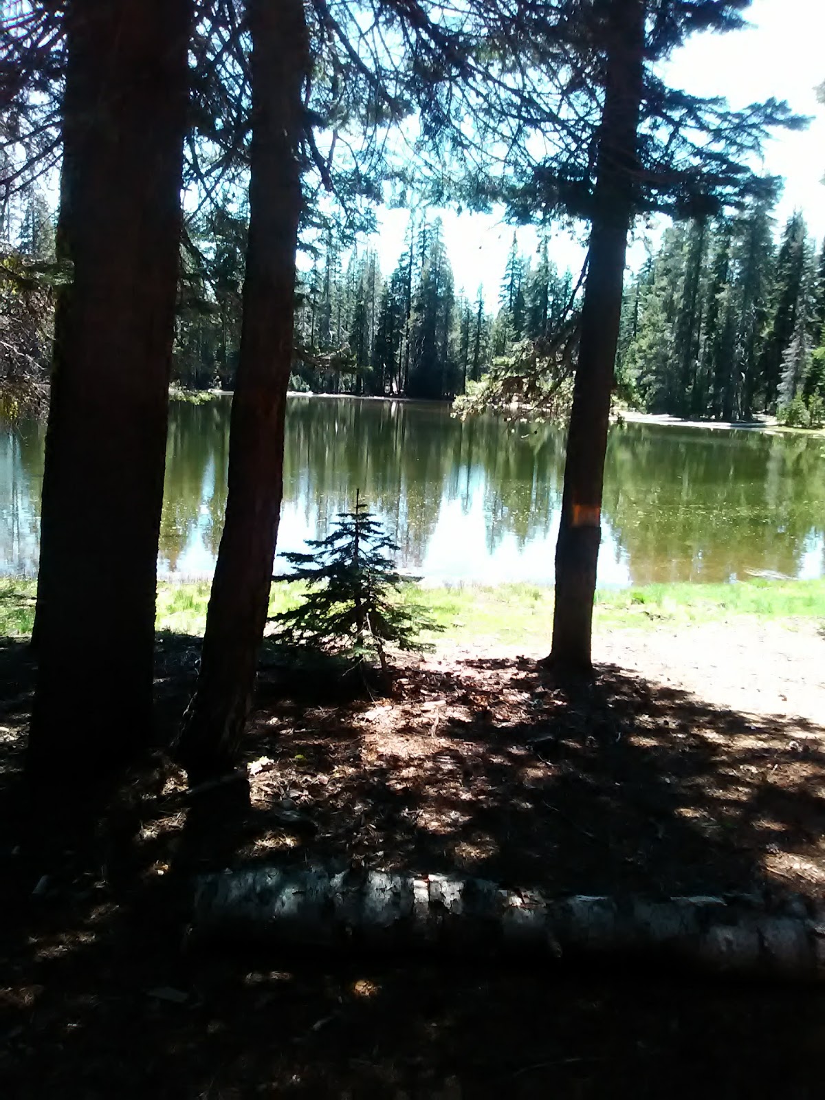 Bullseye Lake Campground