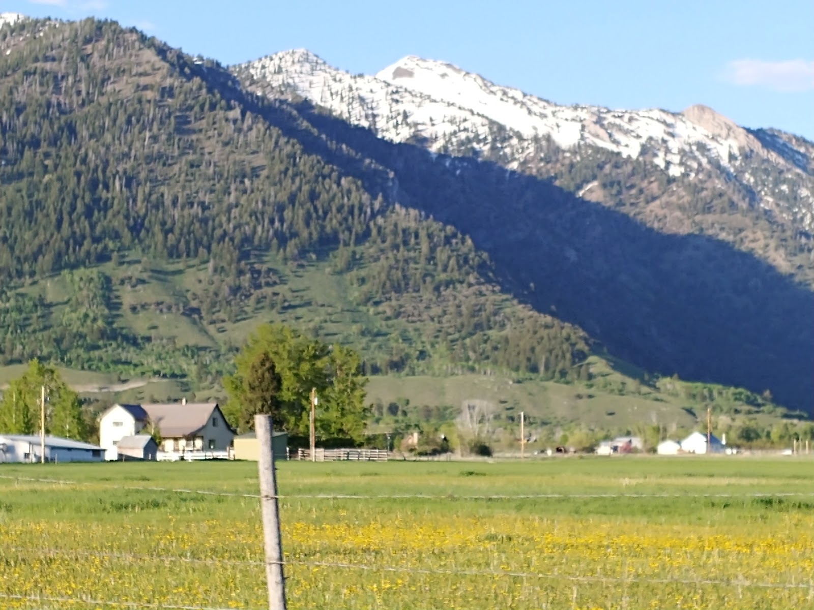 Flat Creek RV Park & Cabins