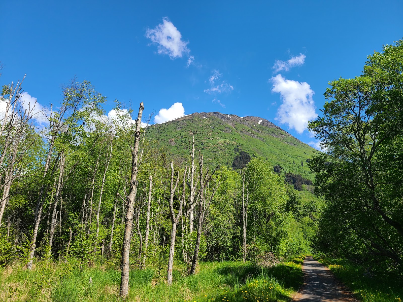 Chugach State Park Bird Point Trailhead