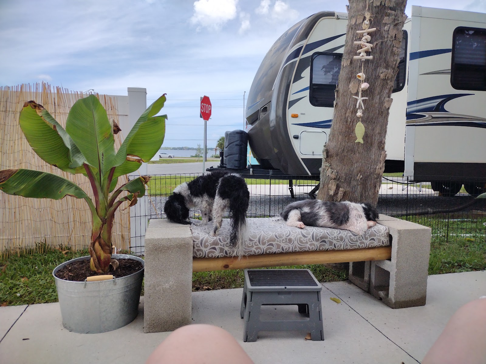 Palm Shores RV Park