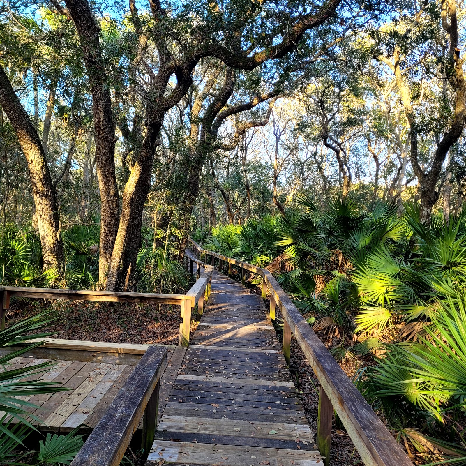 Kathryn Abbey Hanna Park