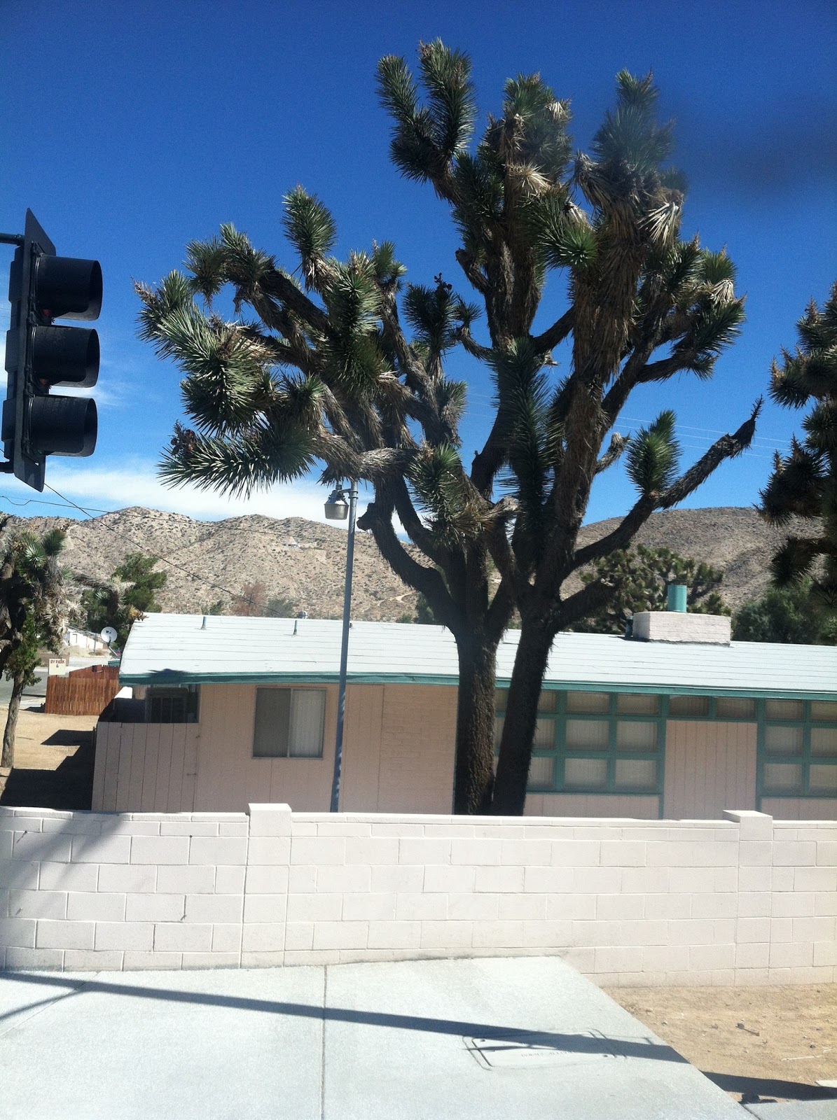 Desert Sky Motel & RV Park