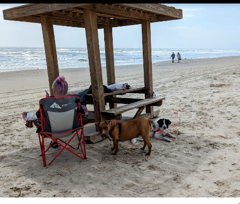 Mustang Island State Park