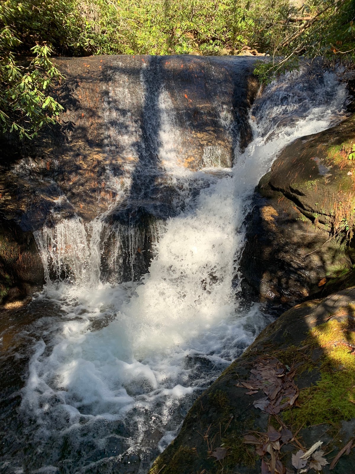 Blue Valley Campground