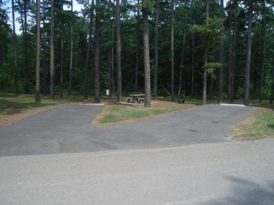 Carter Cove Campground