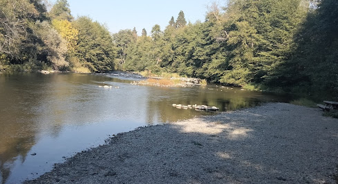 Jackson Campground On The Applegate River