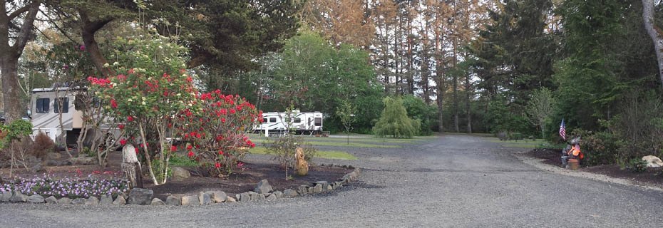 Driftwood Family Campground