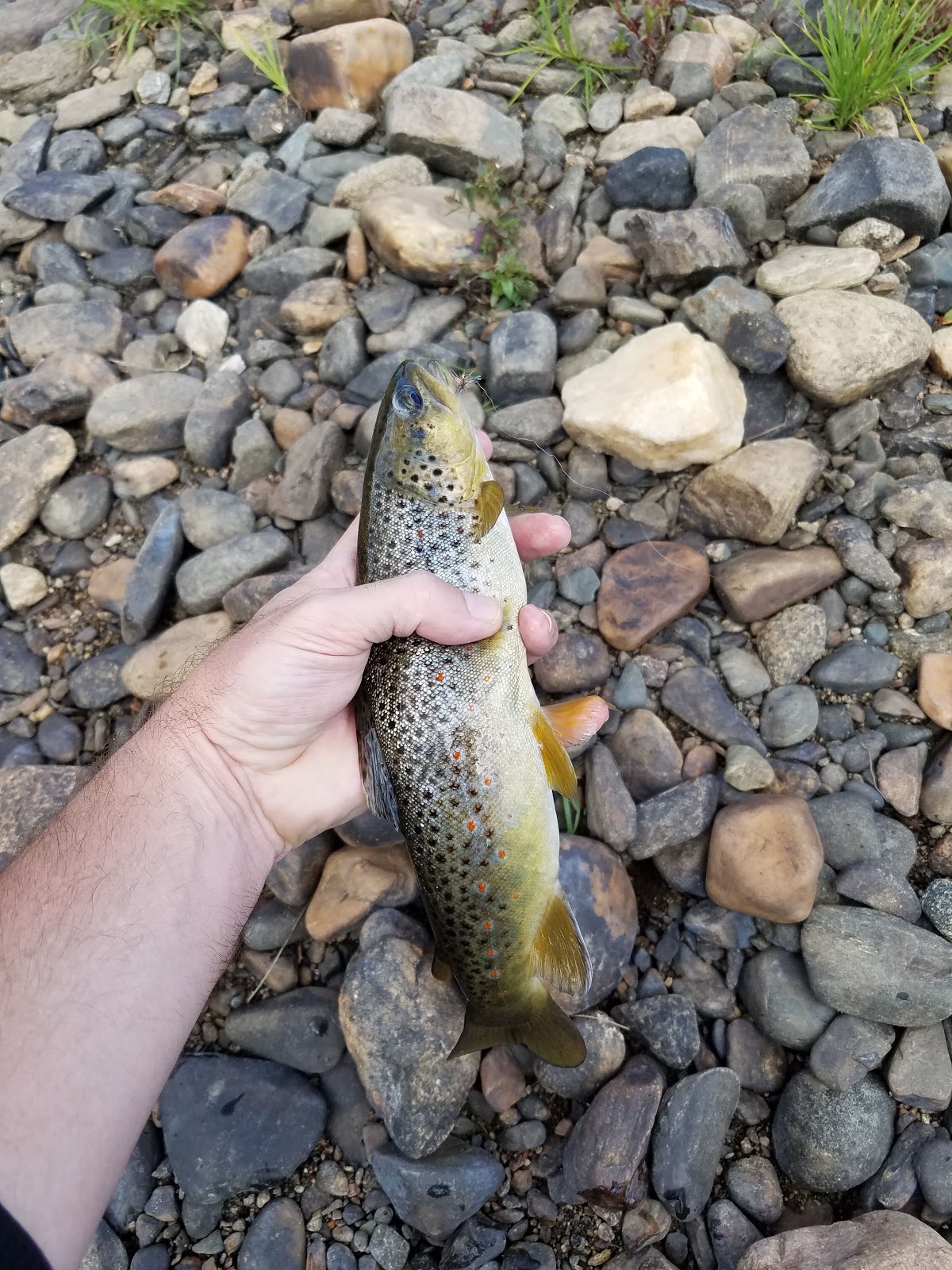 Pelton Creek Campground