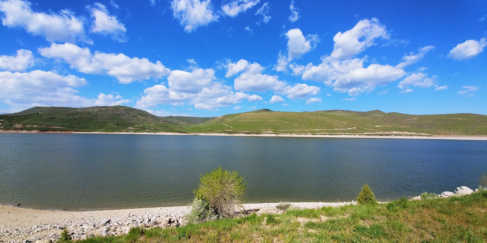 Juniper - Rockport State Park