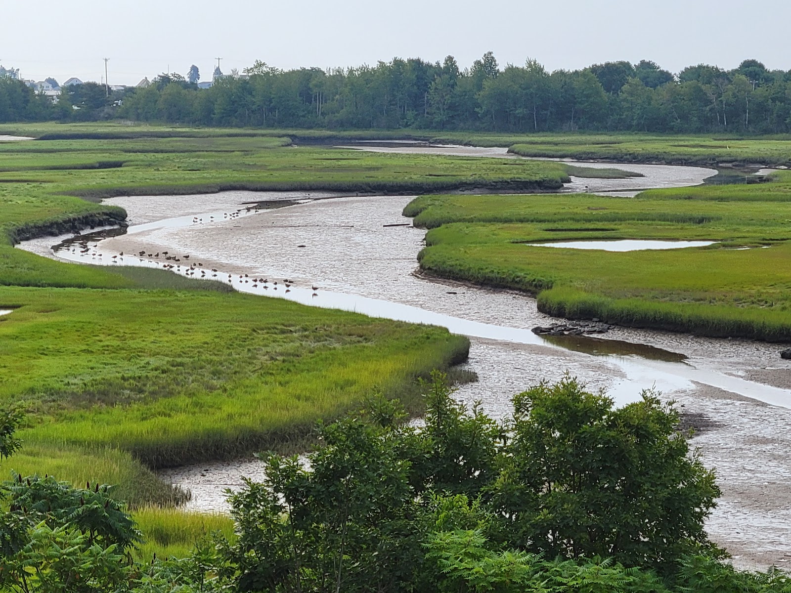 Ocean View Cottage & Camping