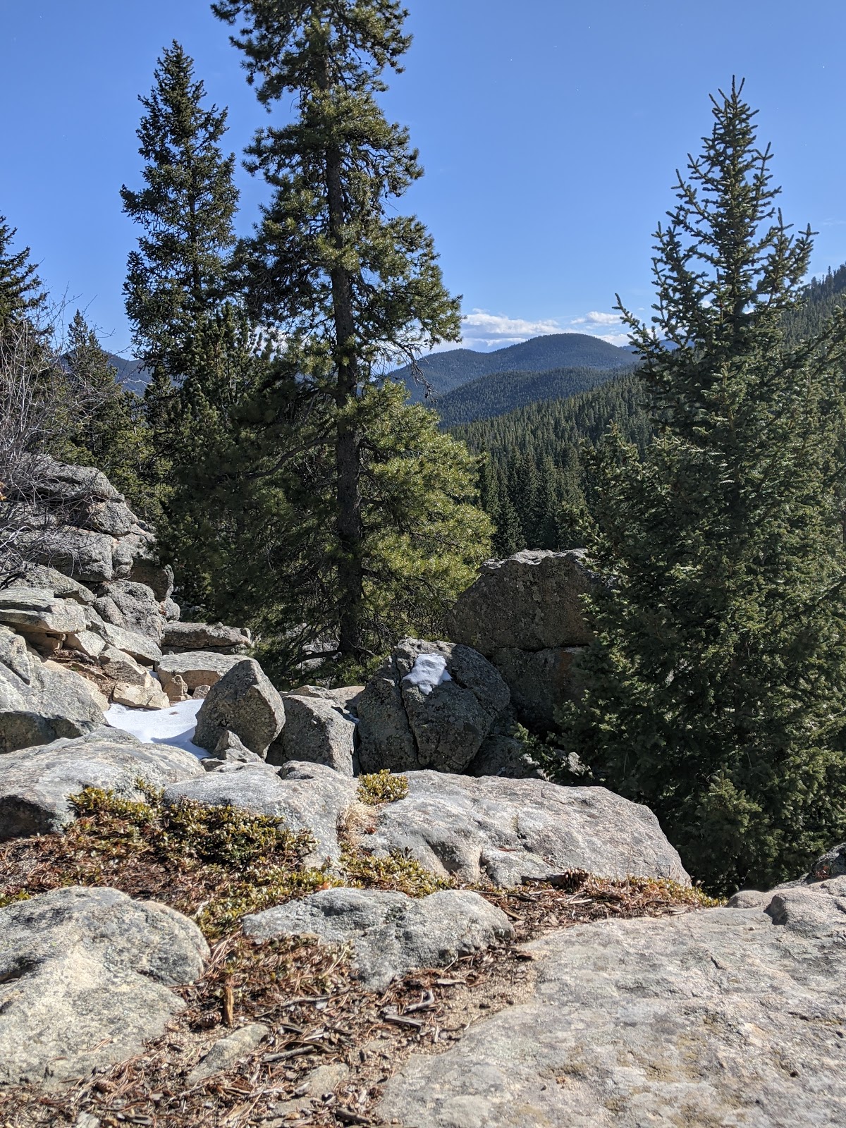 Aspen Meadows - Golden Gate Canyon State Park