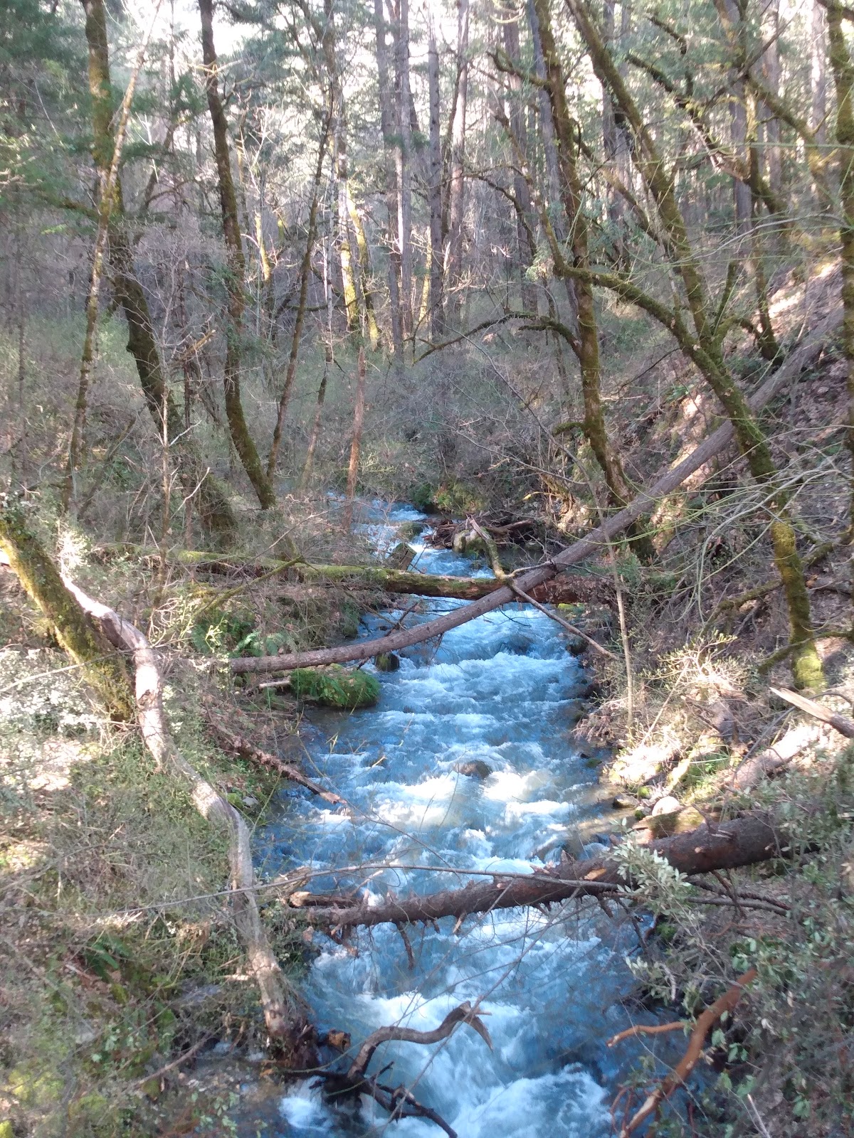 Hobo Gulch Campground