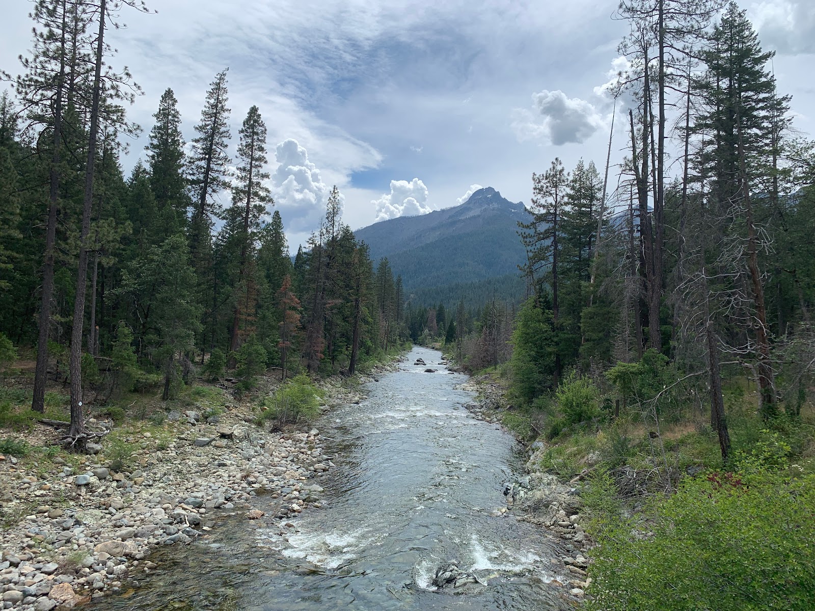 Trinity River Campground