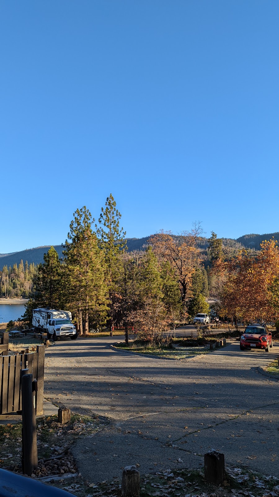 Lupine Cedar Bluff Campground