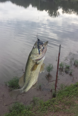 Carol Ann Cross Park