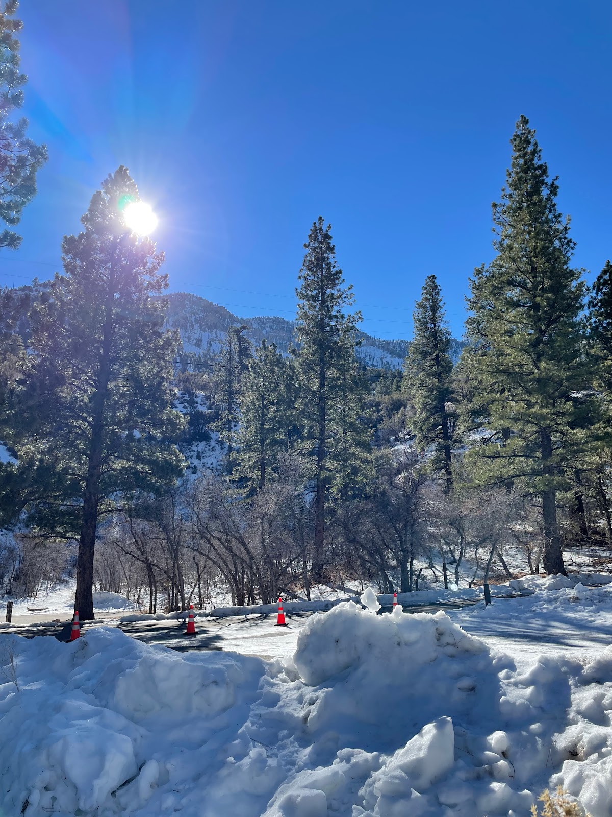 Kyle Canyon Picnic Area