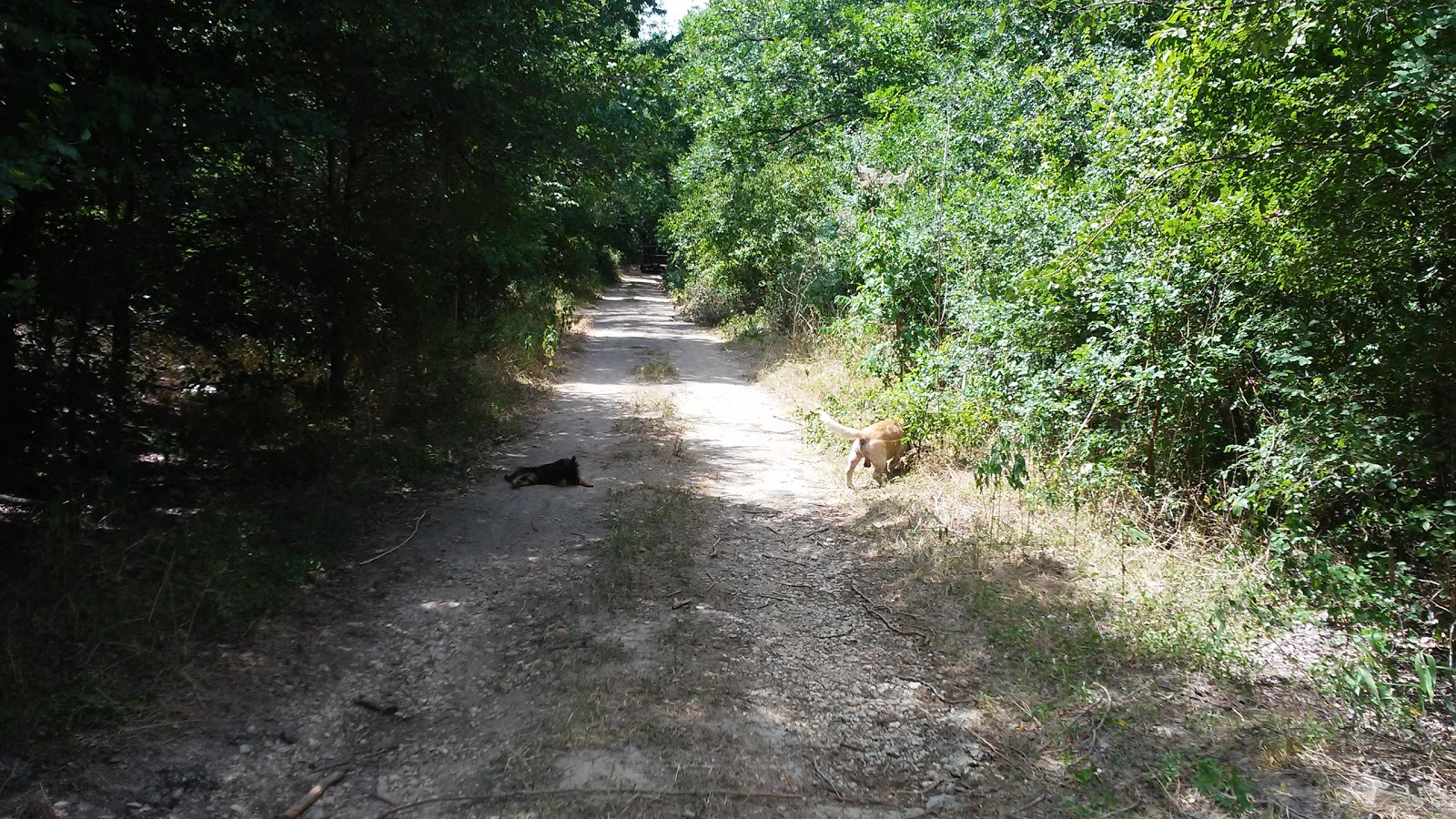 Fentress Mini Storage & RV Park