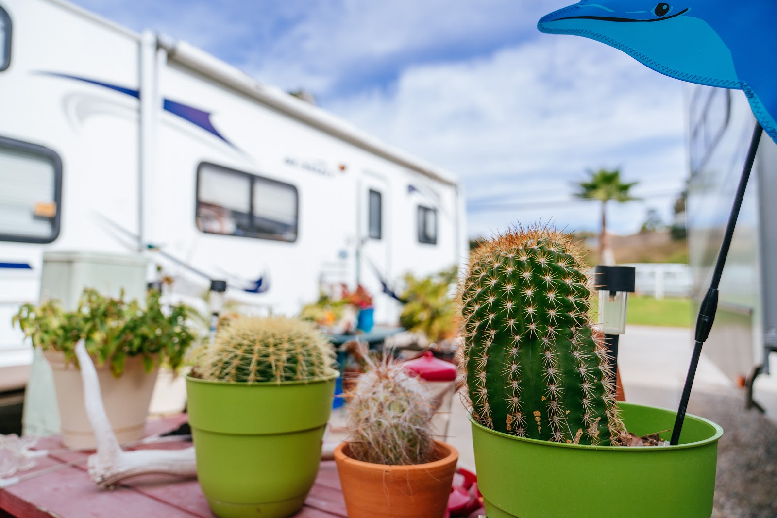 Oak Creek RV Resort - Sunland