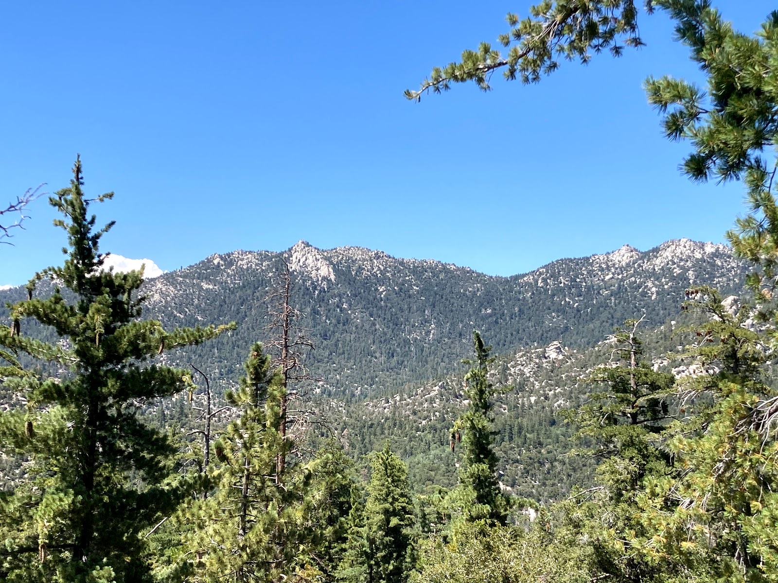 Marion Mountain Campground