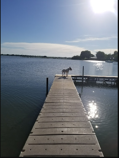 Sherman Reservoir State Recreation Area