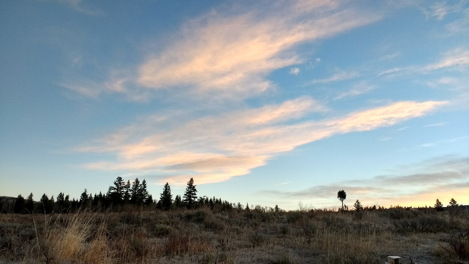 Pebble Guard Station