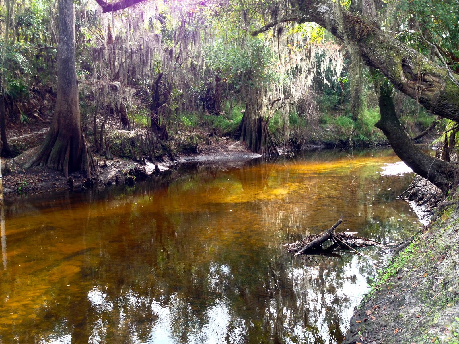 Paynes Creek Historic State Park